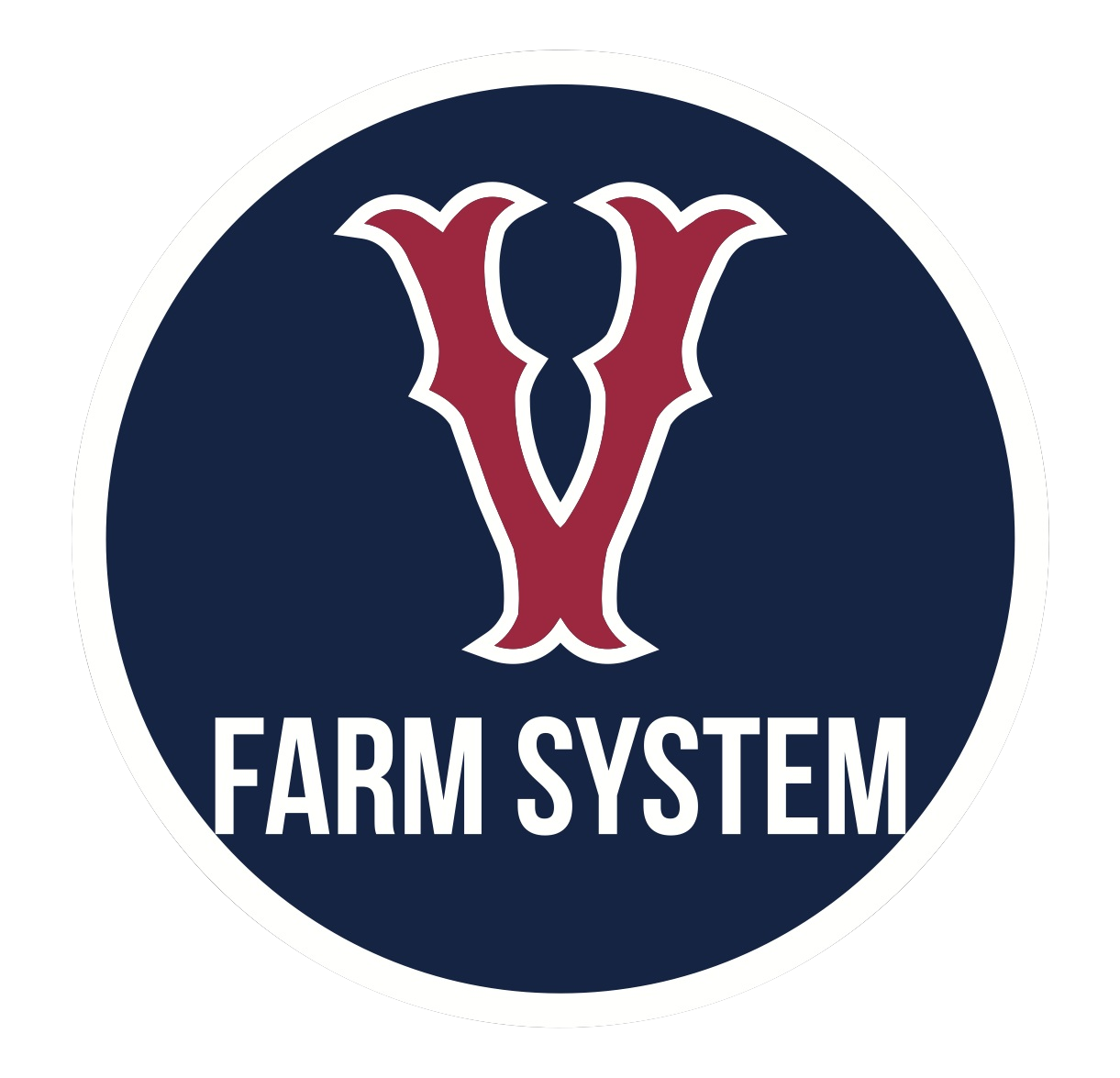 Nasce il “Verona Farm System” Nasce il “Verona Farm System”