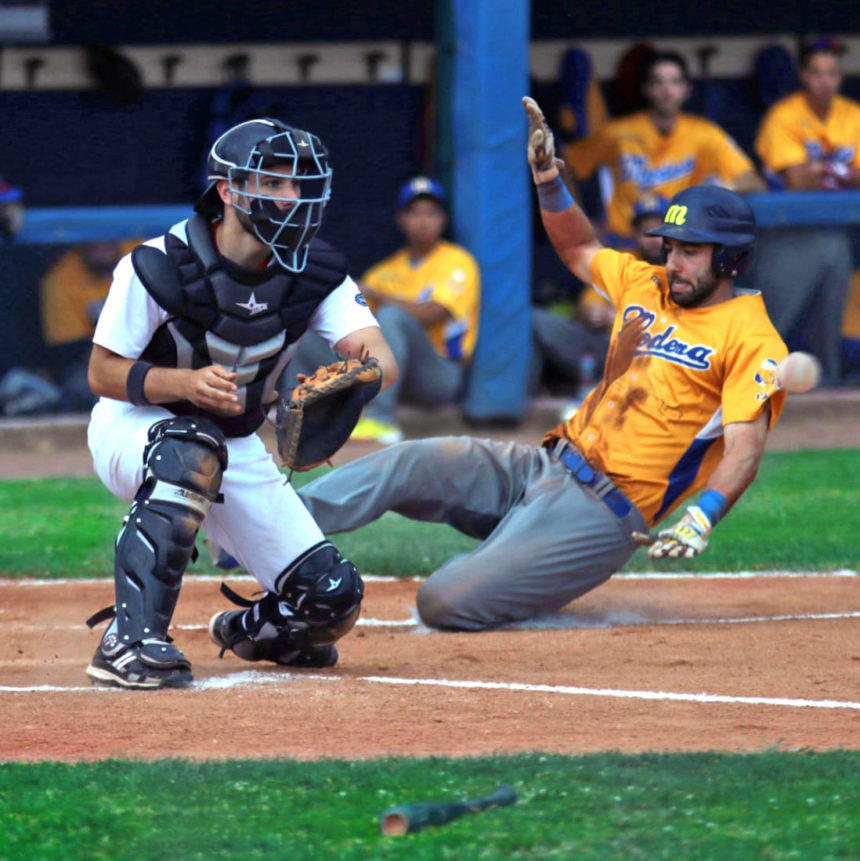 Andrea Orrasch, l’utility del Verona Baseball Andrea Orrasch, l’utility del Verona Baseball